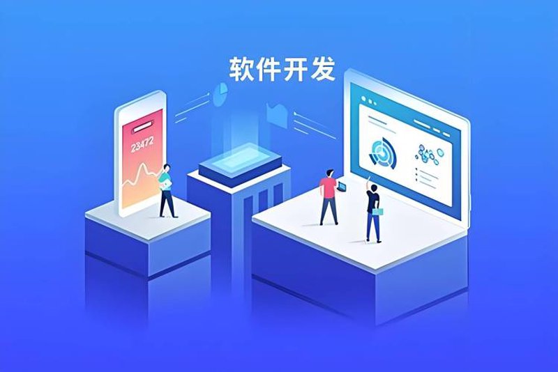 软件定制:企业数字化转型的新引擎